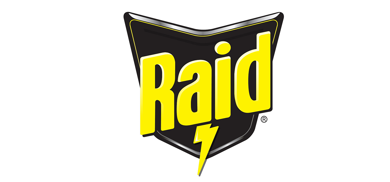 Raid